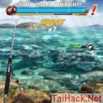 Hack Fishing Clash v1.0.56 MOD always combo